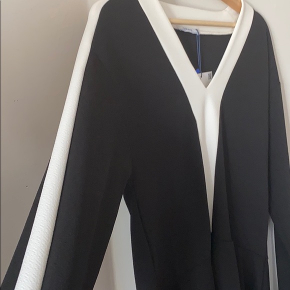 Zara Perfect Basics slimming colorblock dress NWT - Picture 4 of 5